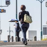 今日も秋晴れ、行楽日和･･