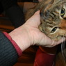 DSCN0034