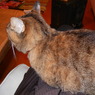 DSCN0059