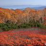 乗鞍岳の紅葉