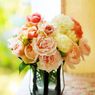 秋薔薇(庭の薔薇）