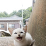 笑うおチビさん