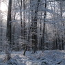 DSCF0496_2