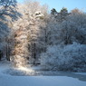 DSCF0497