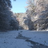 DSCF0499_2