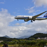 ANA 263