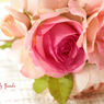 庭の薔薇　