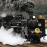 SLやまぐち号2010