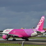 PEA 102