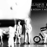 ドイツPreiser社のミニチュアフィギュア　OLYMPUS E-5 ラフモノク