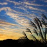 夕日　ススキ　雲　・・・秋の空ですね～