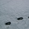 雪