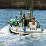 魚場に向かう