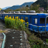 碧い電車。