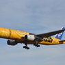 ANA 270  （特別塗装機）