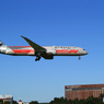 「あおいそら」ETIHAD 787-9 F-1 カラー Landing