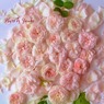 庭の薔薇（フンションロウ）