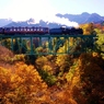 秩父鉄道シリーズ⑭