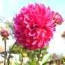 DSCN3073