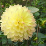 DSCN3121