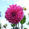 DSCN3125