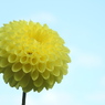 DSCN3126