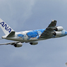 「青の空 」Flying Honu チャーターフライトで飛ぶ