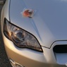 ワックス洗車③　どら焼き