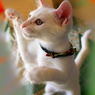 093A0579......SILKYPIX_DS_PRO....7..2111