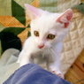 093A0994......SILKYPIX_DS_PRO...7...2111