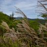 長野県小県郡長和町