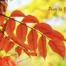 奥日光(紅葉）
