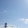 塔と鳥と空