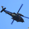 ☆「ブルー」ブラックホーク　UH-60JA 来た～