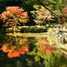 小松寺の紅葉