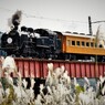 大井川鉄道・・・