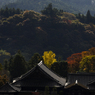 長谷寺　遠景