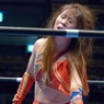 ハミルトン、ブラジルで優勝