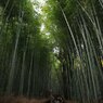 京都６