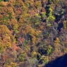 秩父三峰の紅葉