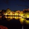 なばなの里_20211117-15