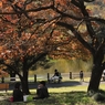 池のほとりで