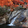 三郎の滝 (2) 211119-439