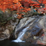 三郎の滝 (2) 211119-439