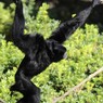 命綱がないと渡れない