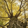 autumn for tokyoites 2021