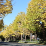 山下公園通り②