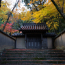 紅葉の寺院