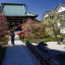 春快晴の梅寺