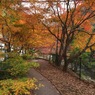写真エッセイ：袋田の秋１：紅葉の小径
